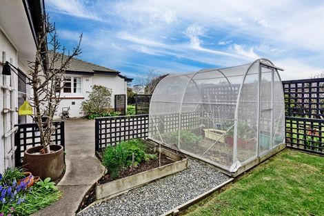 Photo of property in 66 Park Street, Gladstone, Invercargill, 9810