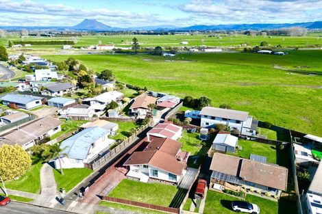 Photo of property in 20 Tawhara Place, Edgecumbe, 3120