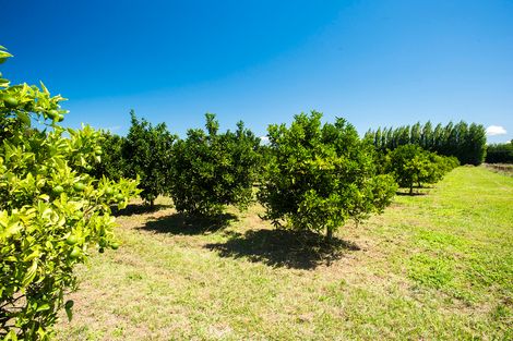 Photo of property in 17 Cemetery Road, Patutahi, Gisborne, 4072