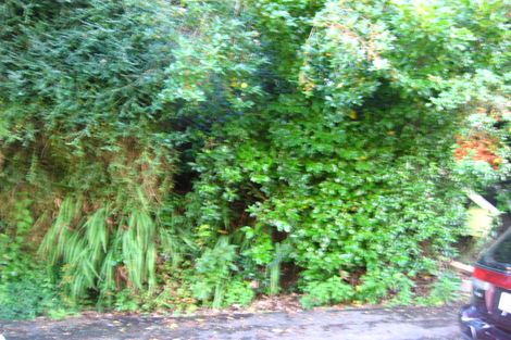 Photo of property in 59 Chambers Street, North East Valley, Dunedin, 9010