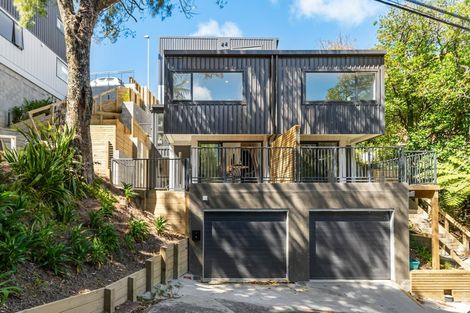 Photo of property in 5 Garfield Street, Brooklyn, Wellington, 6021