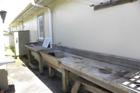 Photo of property in 12 Tahuna Avenue, Raglan, 3225