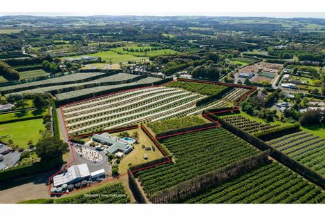 Photo of property in 581 Kerikeri Road, Kerikeri, 0293