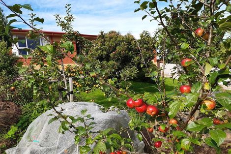Photo of property in 20 Fairview Terrace, Sawyers Bay, Port Chalmers, 9023