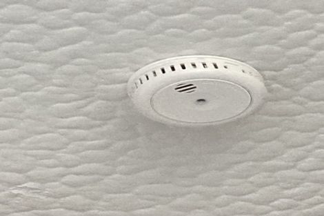 Photo of property in 73 Park Road, Miramar, Wellington, 6022