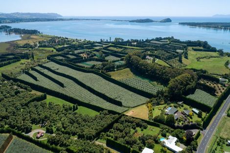 Photo of property in 215 Ongare Point Road, Tahawai, 3170