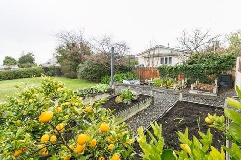 Photo of property in 27 James Cook Street, Havelock North, 4130