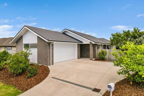 Photo of property in 12 Farrier Street, Papamoa, 3118