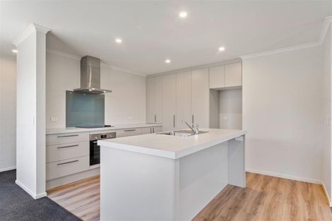 Photo of property in 8 Barnes Lane, Richmond, 7020