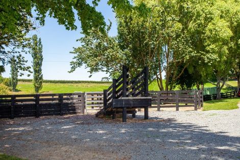 Photo of property in 328 Buckland Road, Matamata, 3472