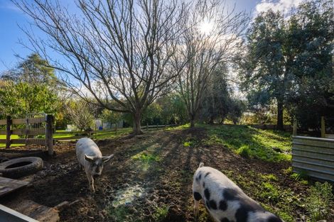 Photo of property in 53b Takapu Road, Manakau, Levin, 5573