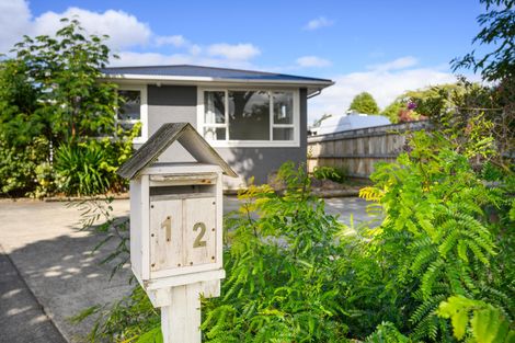 Photo of property in 12 Conway Place, Terrace End, Palmerston North, 4410