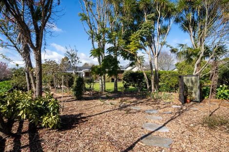 Photo of property in 10 Rowling Place, Leamington, Cambridge, 3432