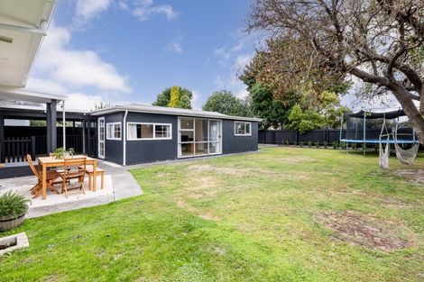 Photo of property in 910 Ebbett Street, Raureka, Hastings, 4120