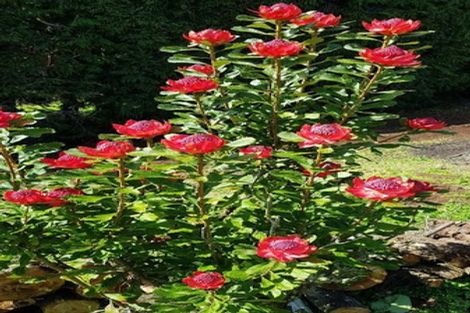 Photo of property in 25 Cottle Hill Drive, Kerikeri, 0293