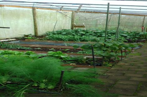 Photo of property in 103 Block Road, Hikutaia, Paeroa, 3674