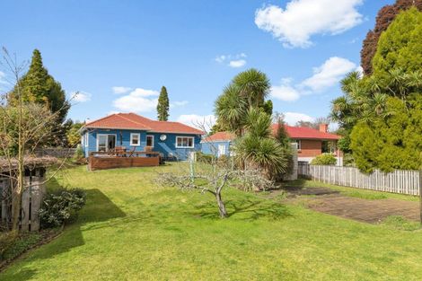 Photo of property in 4 High Street, Putaruru, 3411