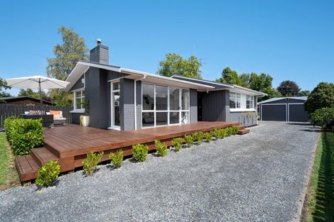 Photo of property in 16 Froude Street, Leamington, Cambridge, 3432