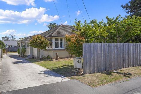 Photo of property in 43 Joy Street, Shirley, Christchurch, 8061