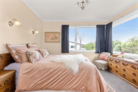 Photo of property in 37 Tanner Street, Havelock North, 4130