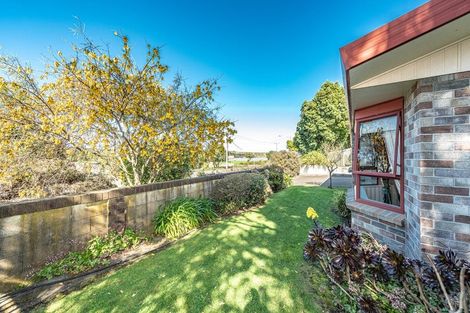 Photo of property in 250 Taupo Quay, Gonville, Whanganui, 4501