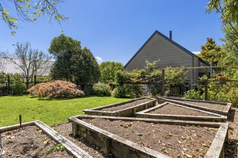 Photo of property in 125 Waitaha Road, Welcome Bay, Tauranga, 3112
