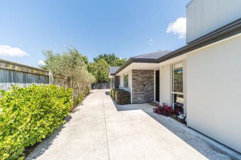 Photo of property in 33a Windsor Street, Terrace End, Palmerston North, 4410