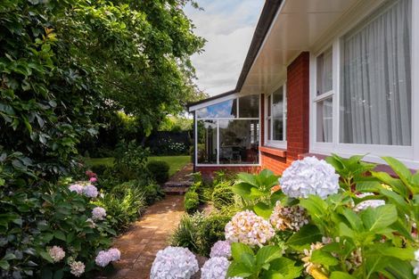 Photo of property in 56a Maxwell Road, Blenheim, 7201