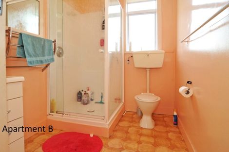 Photo of property in 195a Carroll Street, Dunedin Central, Dunedin, 9016