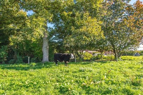 Photo of property in 314d Somerville Road, Tapapa, Tirau, 3485