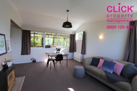 Photo of property in 219 Elgin Road, Balaclava, Dunedin, 9011