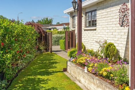 Photo of property in 97k High Street, Solway, Masterton, 5810