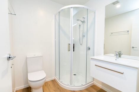 Photo of property in 118 Salisbury Street, Ashhurst, 4810