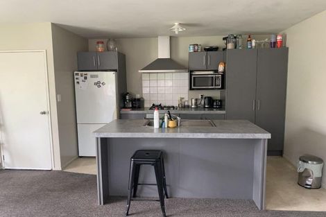 Photo of property in 22a Brocas Avenue, Hillcrest, Hamilton, 3216