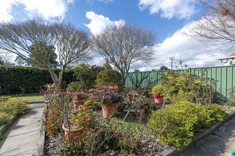 Photo of property in 8 Lignite Street, Huntly, 3700