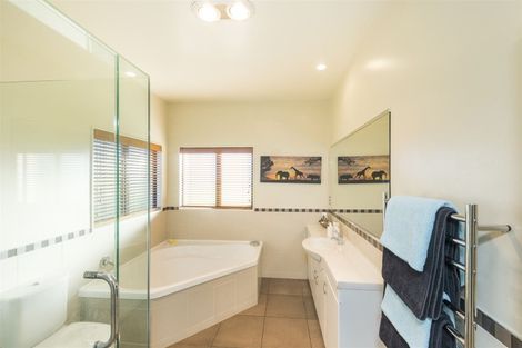 Photo of property in 220 Motuiti Road, Foxton, 4891