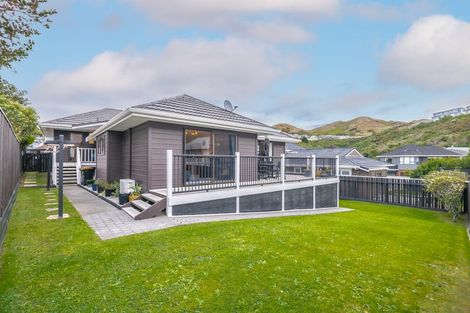 Photo of property in 60 Erris Street, Johnsonville, Wellington, 6037