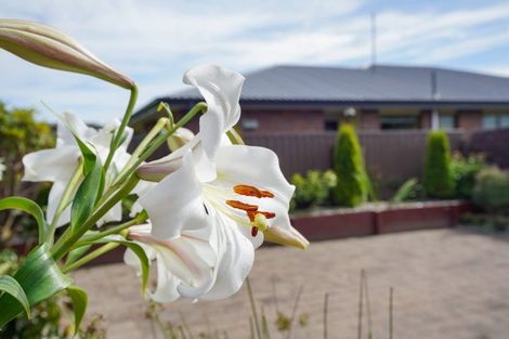 Photo of property in 15 Terrace Street, Rosedale, Invercargill, 9810