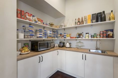 Photo of property in 44 Naseby Street, Merivale, Christchurch, 8014