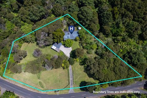 Photo of property in 449 Kauaeranga Valley Road, Thames, 3577