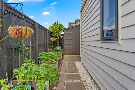 Photo of property in 9 Fuselage Road, Hobsonville, Auckland, 0616