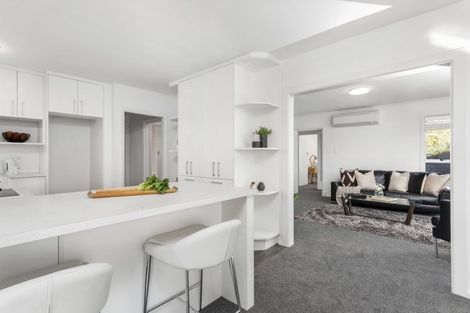 Photo of property in 101 Harris Crescent, Papanui, Christchurch, 8053