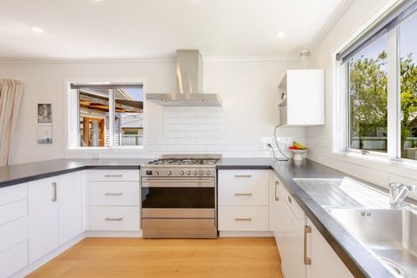 Photo of property in 14 Holyrood Terrace, Waipukurau, 4200