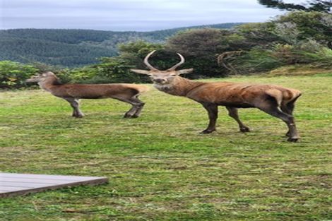 Photo of property in 51 Crest Road, Akatarawa, Upper Hutt, 5372