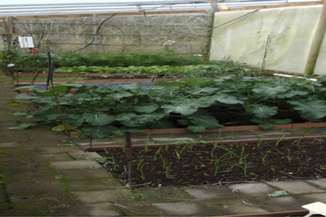 Photo of property in 103 Block Road, Hikutaia, Paeroa, 3674