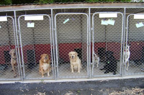 Photo of property in 349 Hauraki Road, Orongo, Thames, 3574