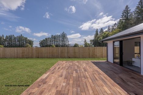 Photo of property in 41 Holmes Road, Methven, 7730