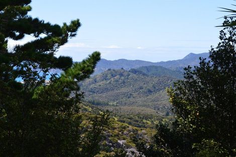 Photo of property in 478 Port Charles Road, Waikawau, Coromandel, 3584