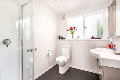 Photo of property in 40b The Crescent, Roseneath, Wellington, 6011