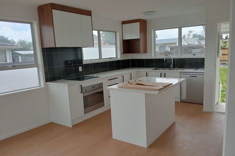 Photo of property in 48 Goodwin Drive, Rosehill, Papakura, 2113